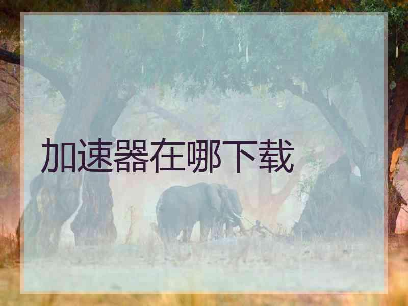 加速器在哪下载