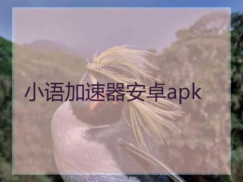 小语加速器安卓apk