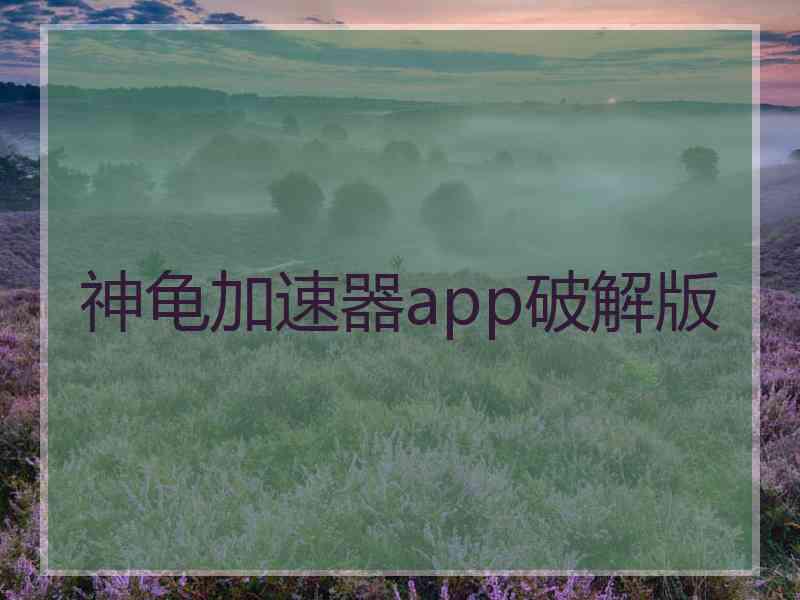 神龟加速器app破解版