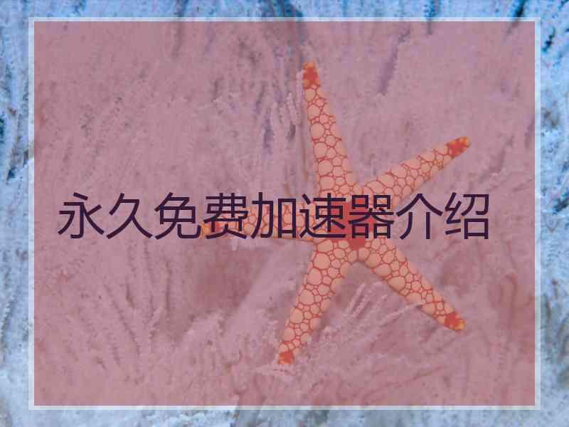 永久免费加速器介绍