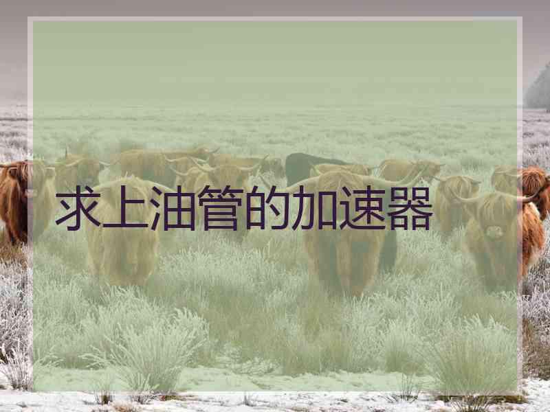 求上油管的加速器