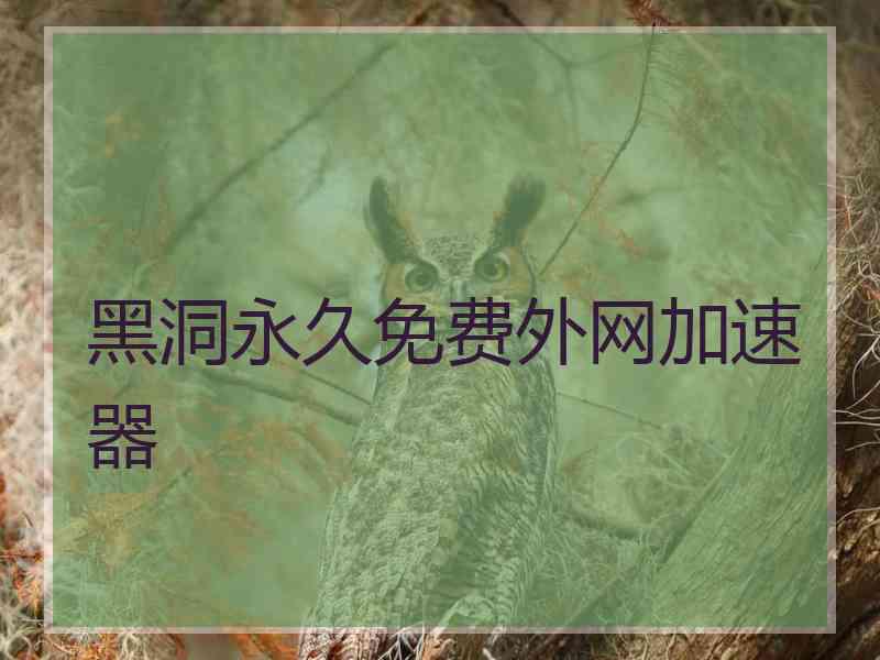 黑洞永久免费外网加速器