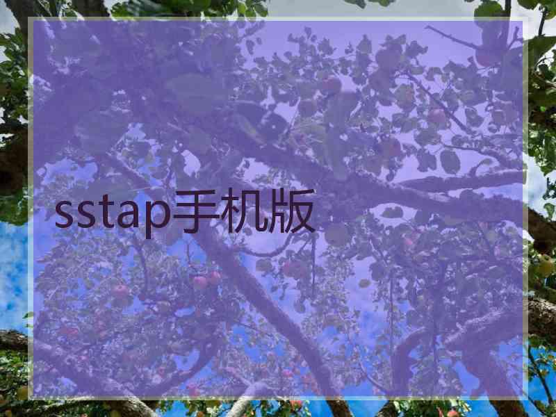 sstap手机版