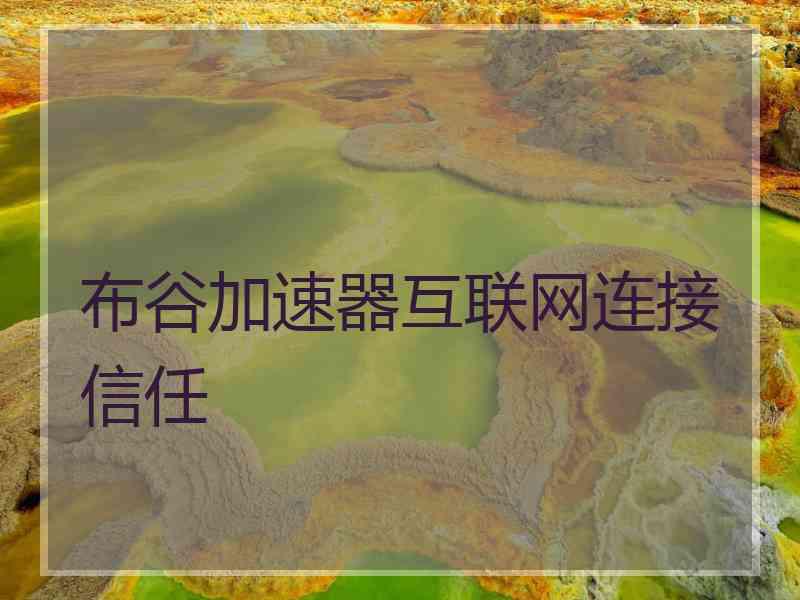 布谷加速器互联网连接信任