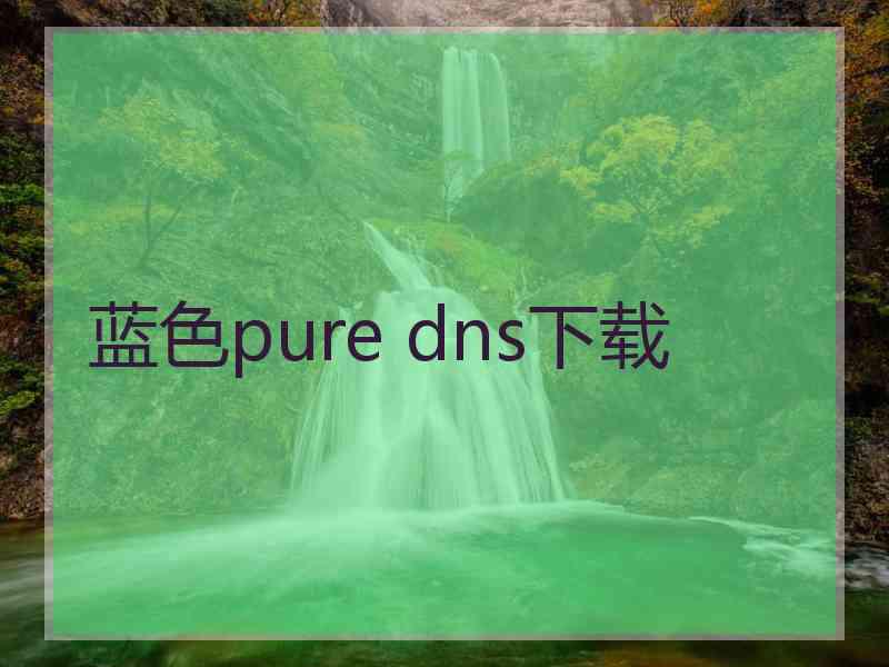蓝色pure dns下载