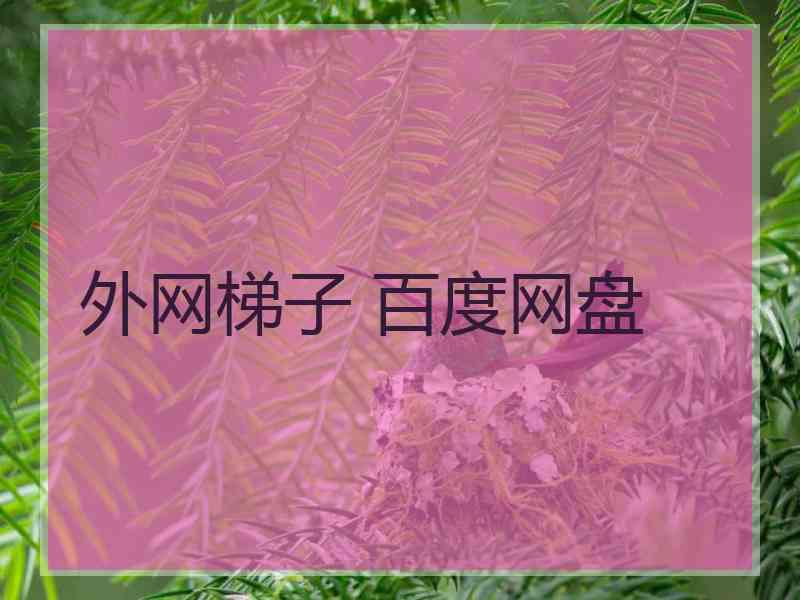 外网梯子 百度网盘