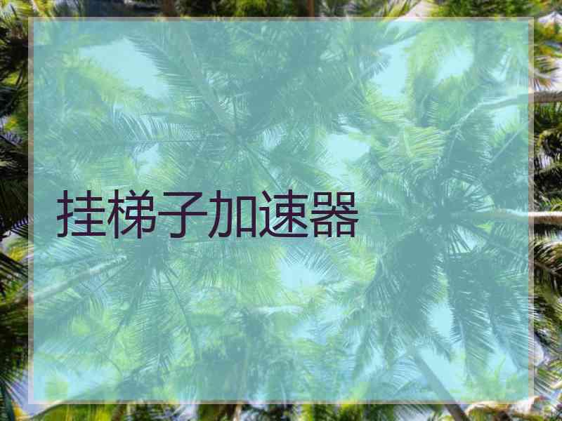 挂梯子加速器