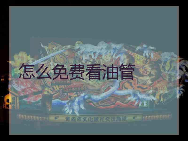 怎么免费看油管
