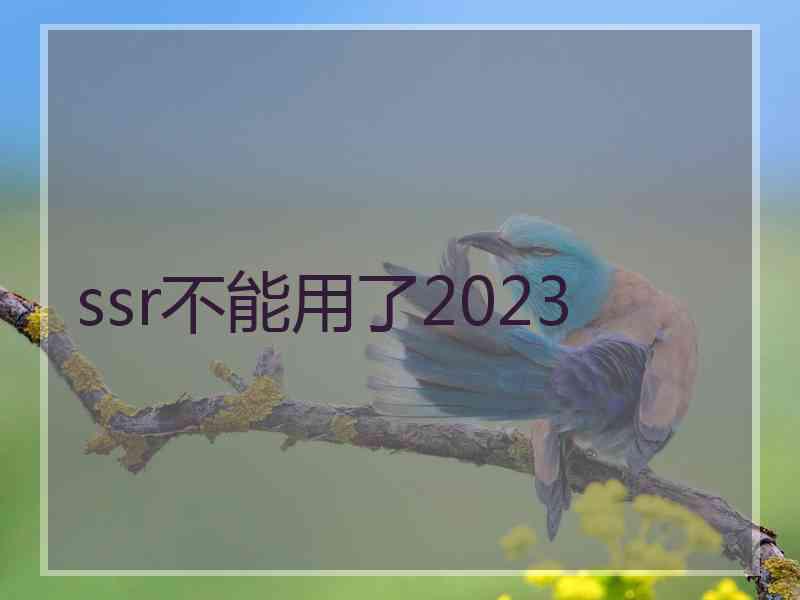 ssr不能用了2023