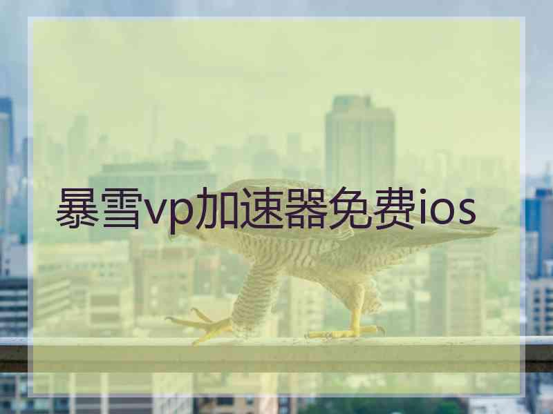 暴雪vp加速器免费ios