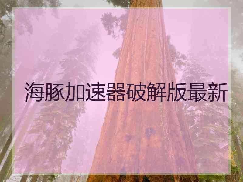 海豚加速器破解版最新