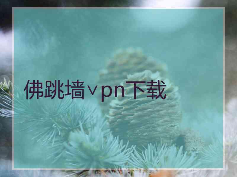 佛跳墙∨pn下载