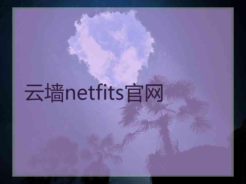 云墙netfits官网