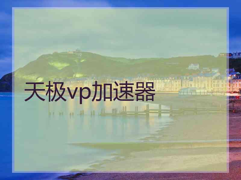 天极vp加速器