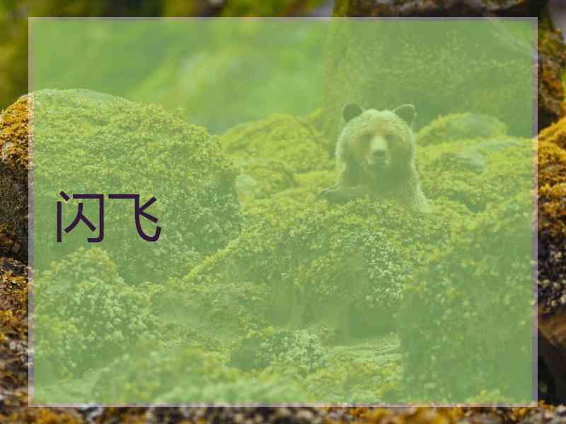 闪飞