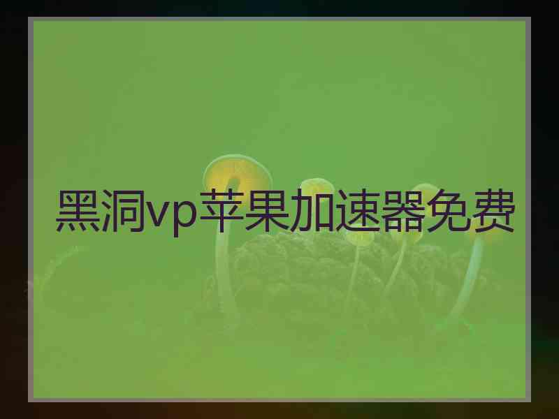 黑洞vp苹果加速器免费