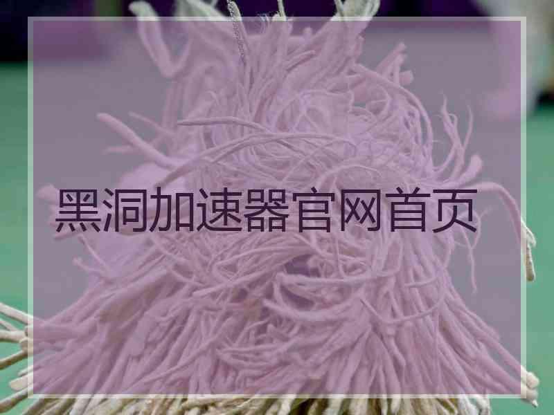 黑洞加速器官网首页