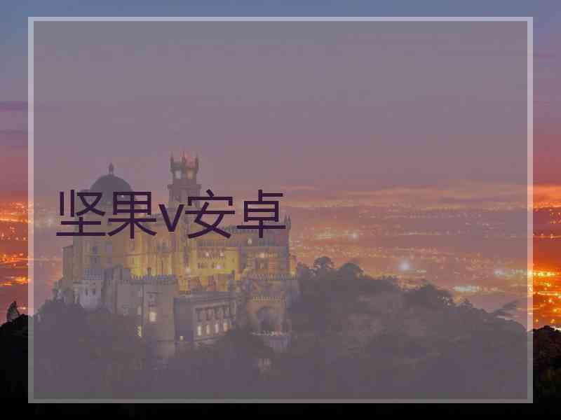 坚果v安卓