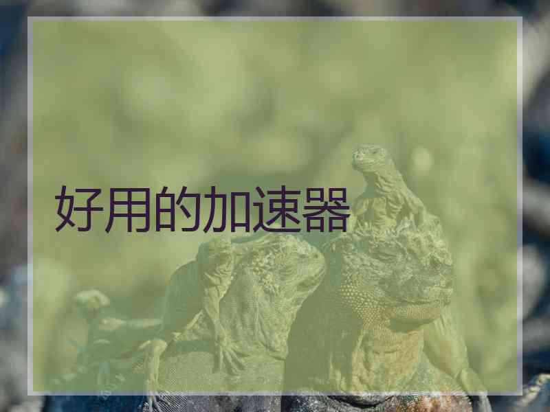 好用的加速器