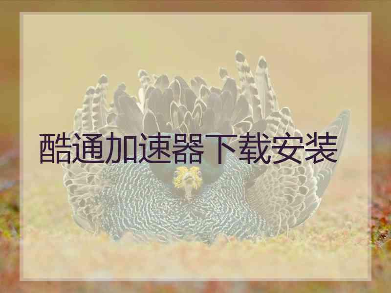 酷通加速器下载安装