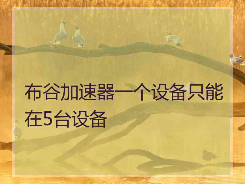 布谷加速器一个设备只能在5台设备
