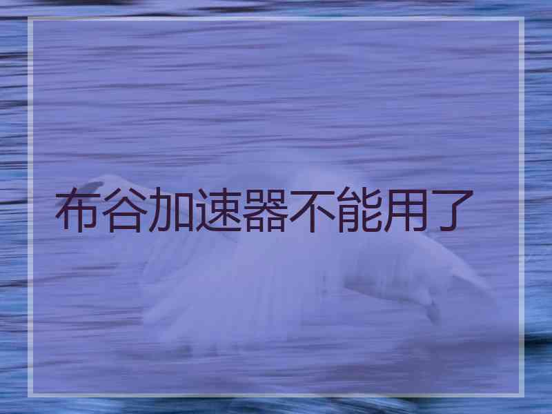 布谷加速器不能用了