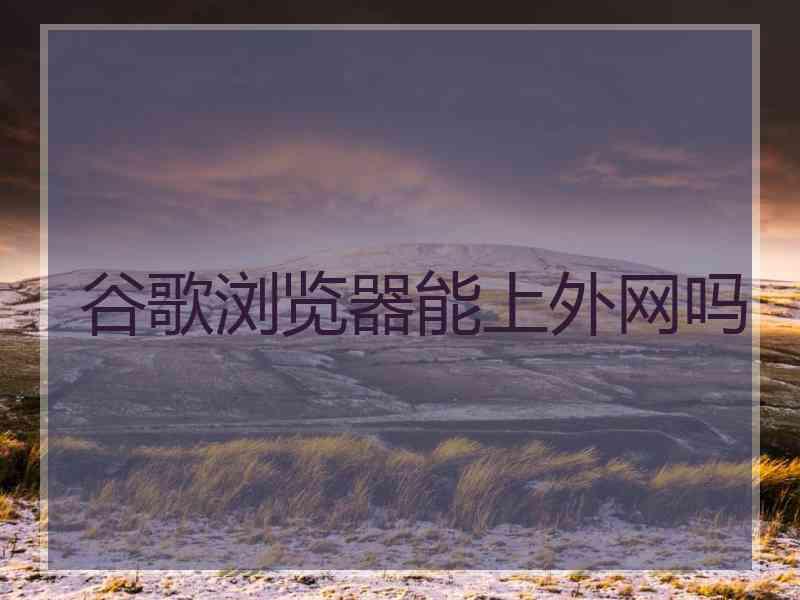 谷歌浏览器能上外网吗