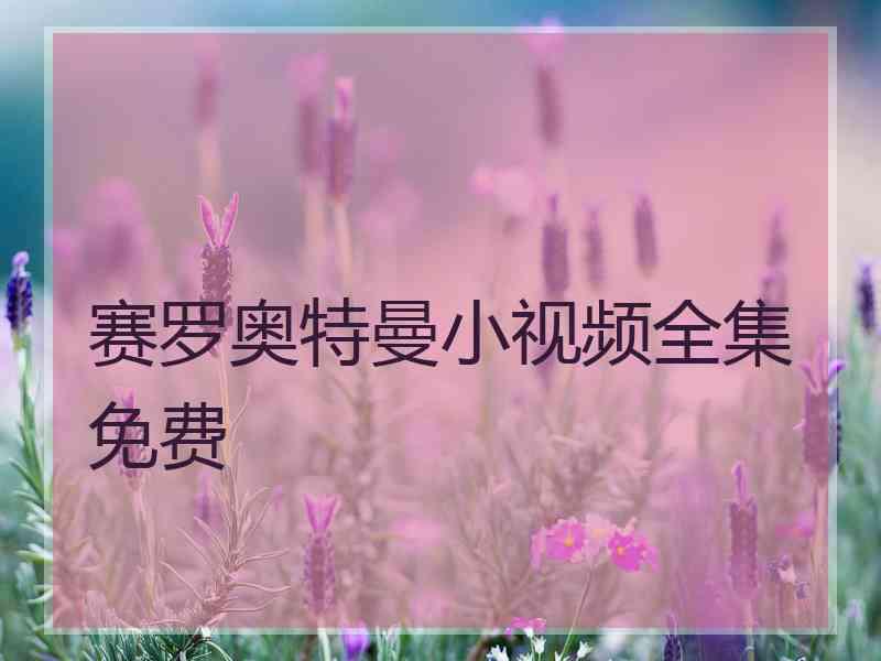 赛罗奥特曼小视频全集免费