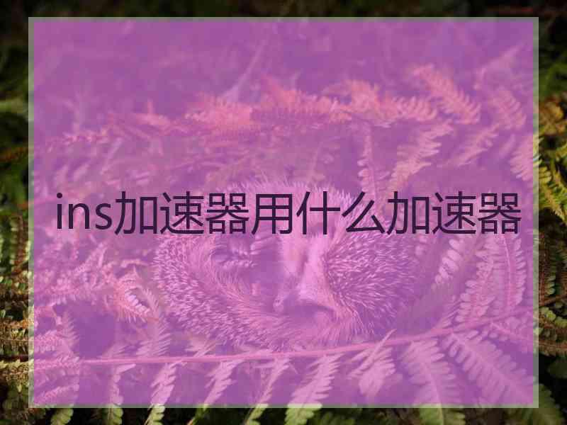 ins加速器用什么加速器