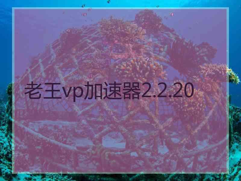 老王vp加速器2.2.20