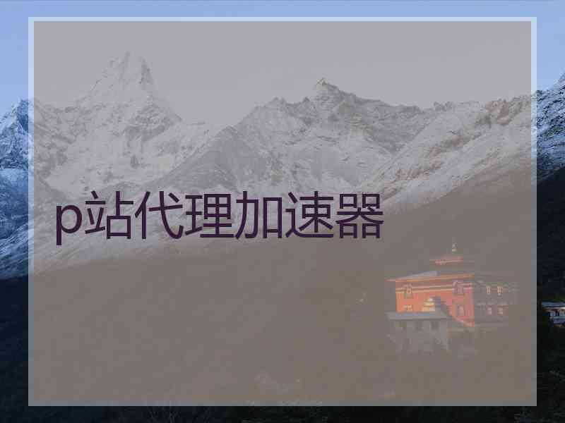 p站代理加速器