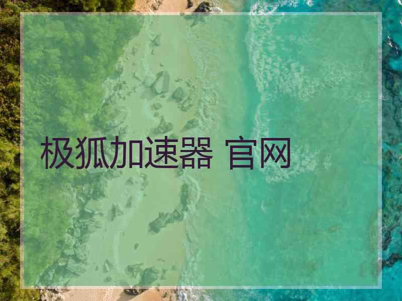 极狐加速器 官网