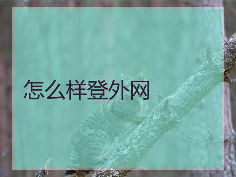 怎么样登外网