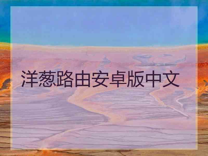 洋葱路由安卓版中文