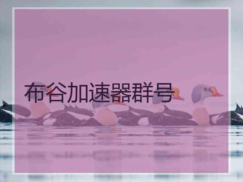 布谷加速器群号