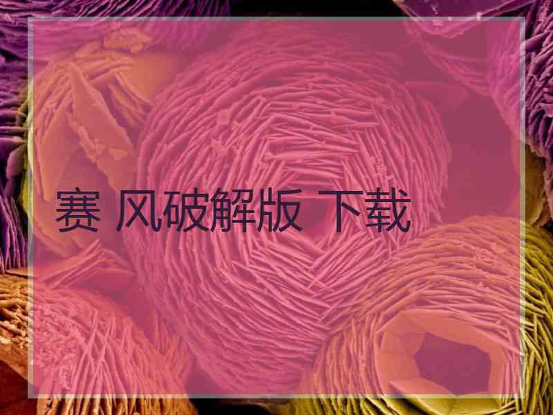 赛 风破解版 下载