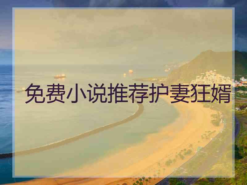 免费小说推荐护妻狂婿