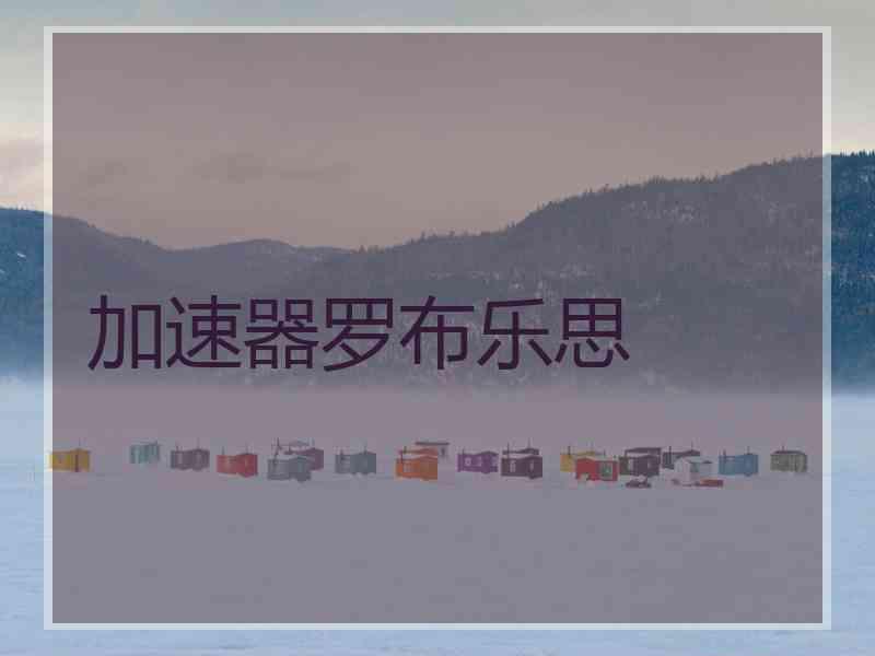 加速器罗布乐思