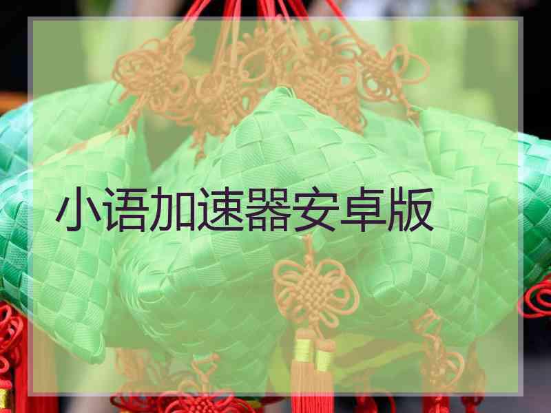 小语加速器安卓版
