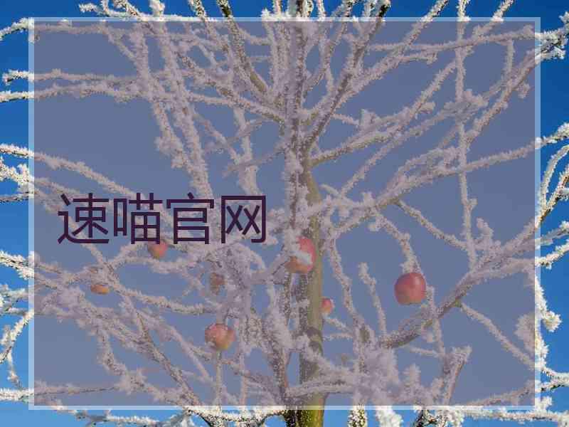 速喵官网