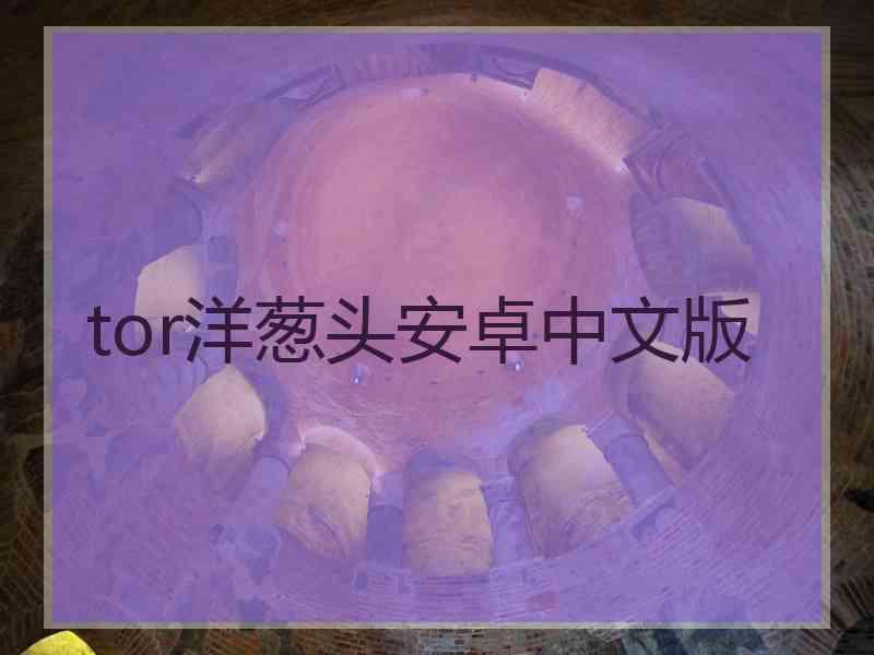 tor洋葱头安卓中文版