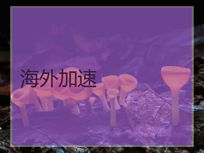 海外加速