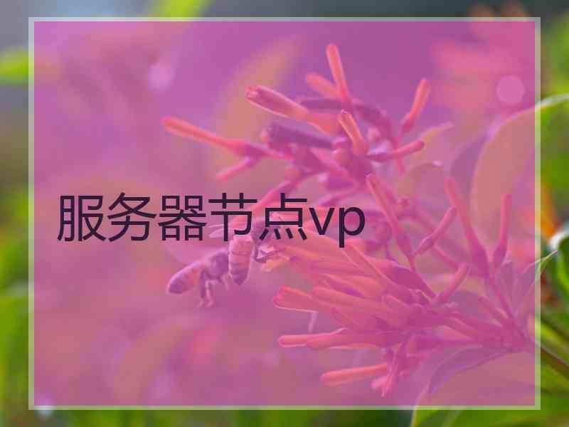 服务器节点vp