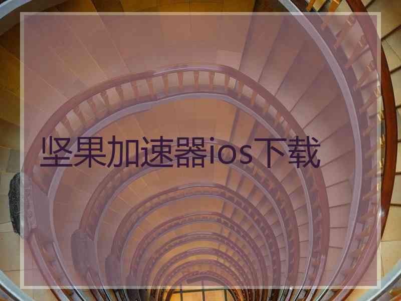 坚果加速器ios下载
