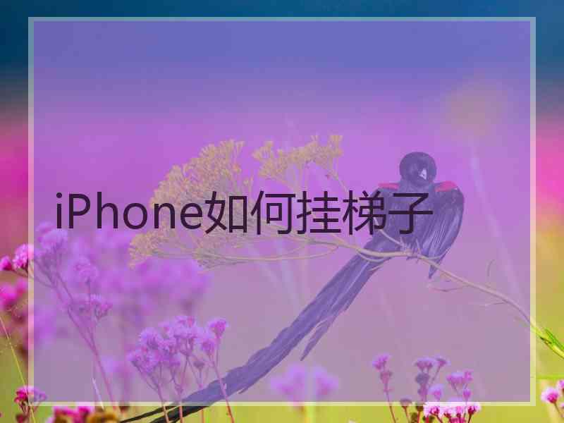 iPhone如何挂梯子