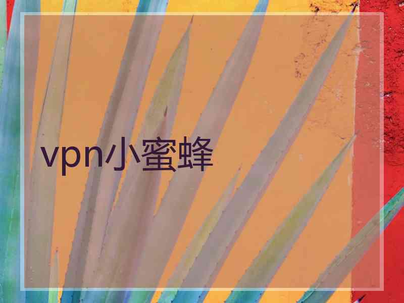 vpn小蜜蜂