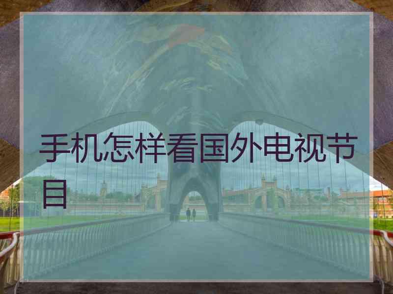 手机怎样看国外电视节目