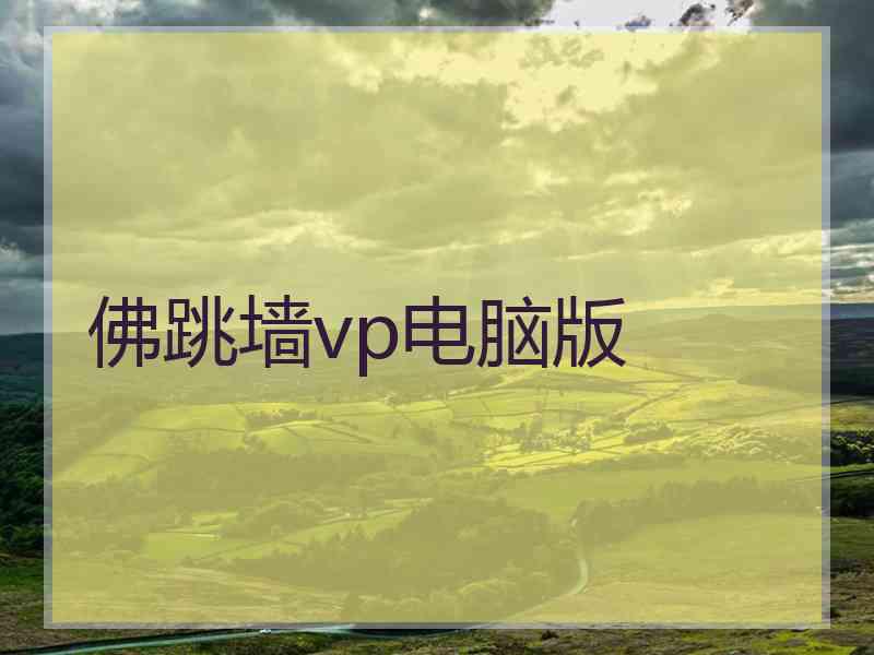 佛跳墙vp电脑版